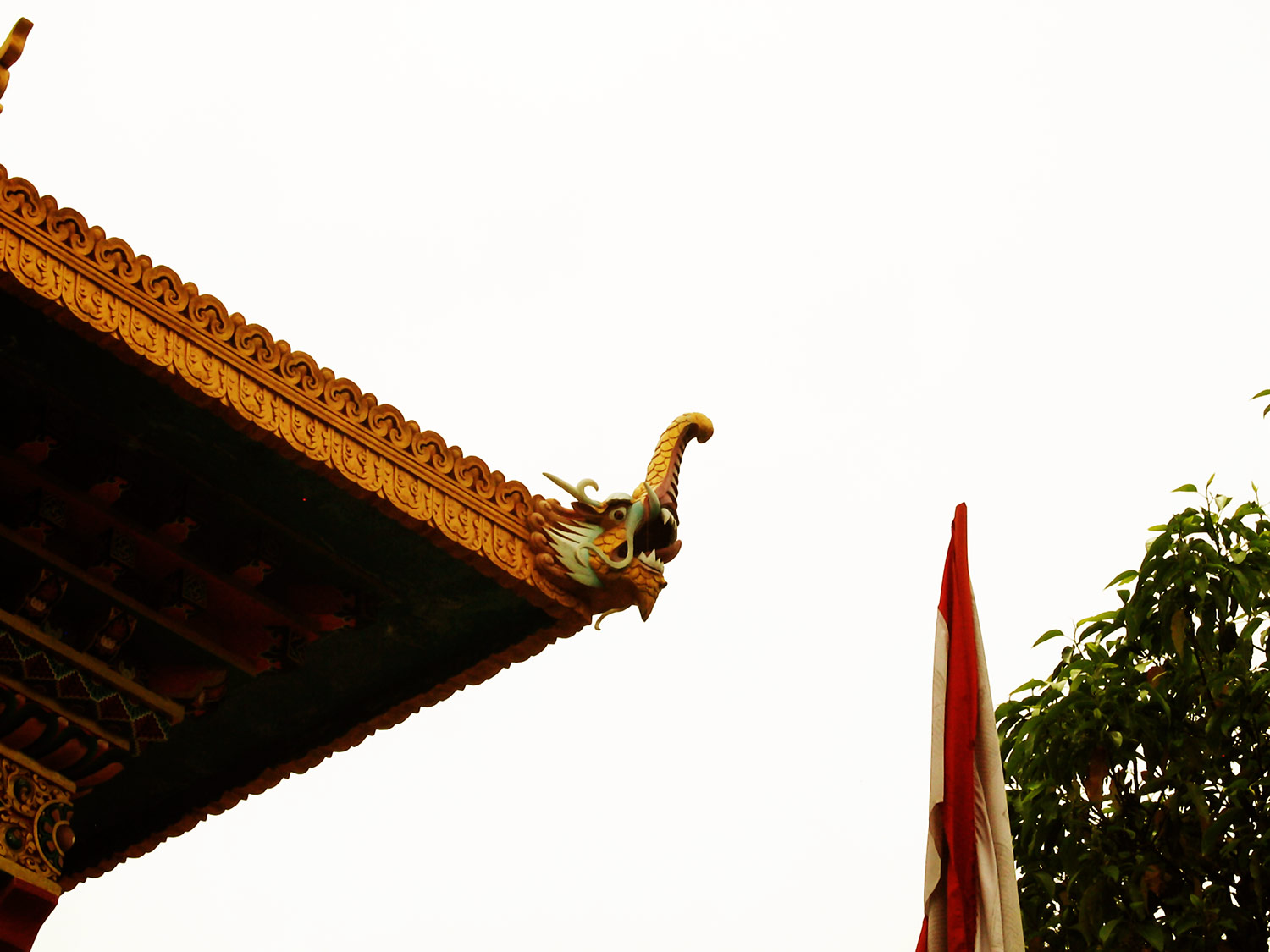 Tibetan Rainwater Gargoyle, Himalayas, India