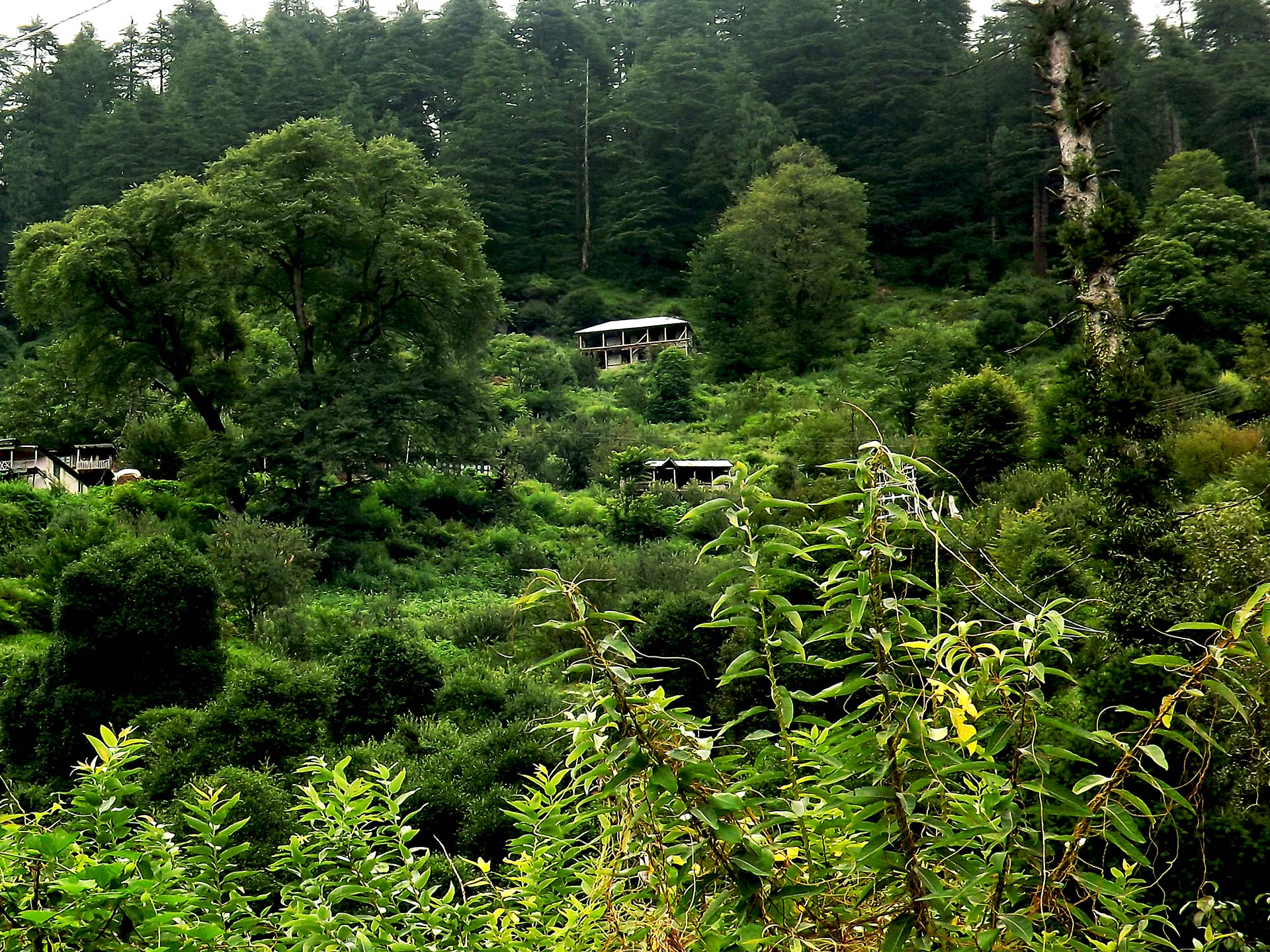 View of the Himalayan village of Banhara growing on a hill, Jagatsuk, Himachal, India