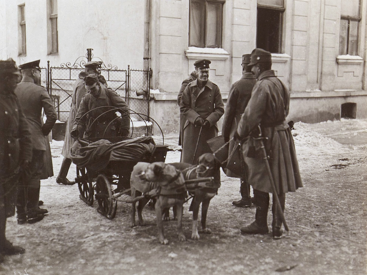 Image shows a dog sledge with a pair of canines in Austria 1916