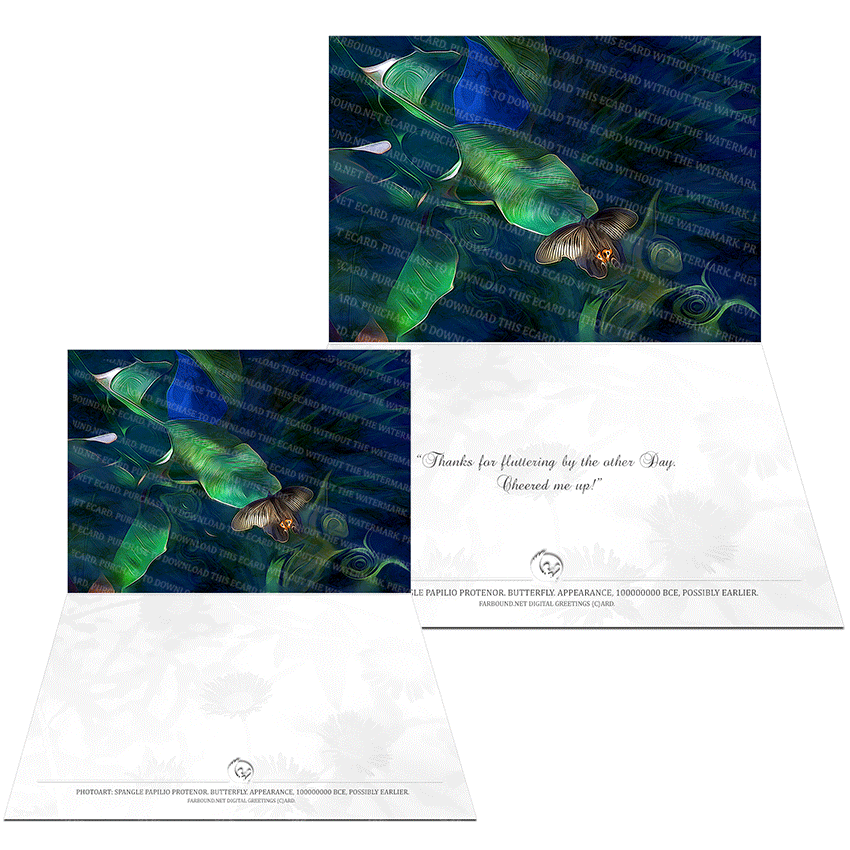 Farbound.Net Digital Greetings Card: Showing a photoart presentation of a Spangle Butterfly.