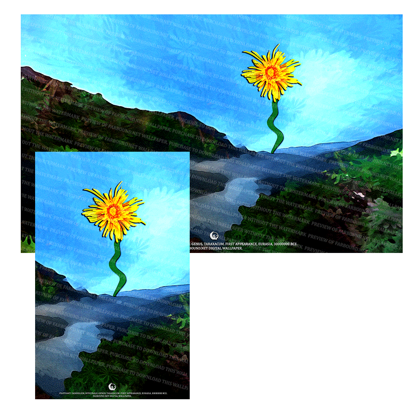 Farbound.Net Digital Wallpapers: Showing a photoart presentation of a Dandelion flower.