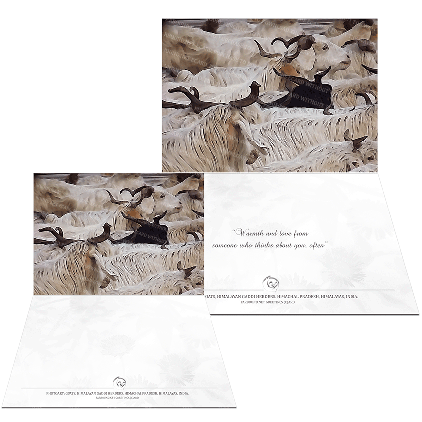 Farbound.Net Greetings Card: Showing a photo art representation of a herd of Gaddi goats.